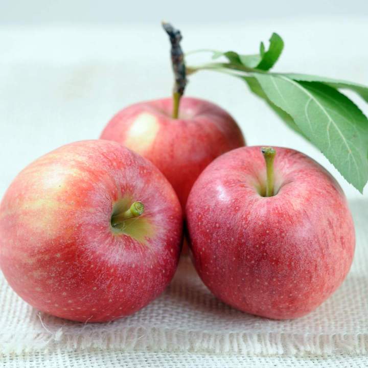 Alcools locaux et rhums Martinique